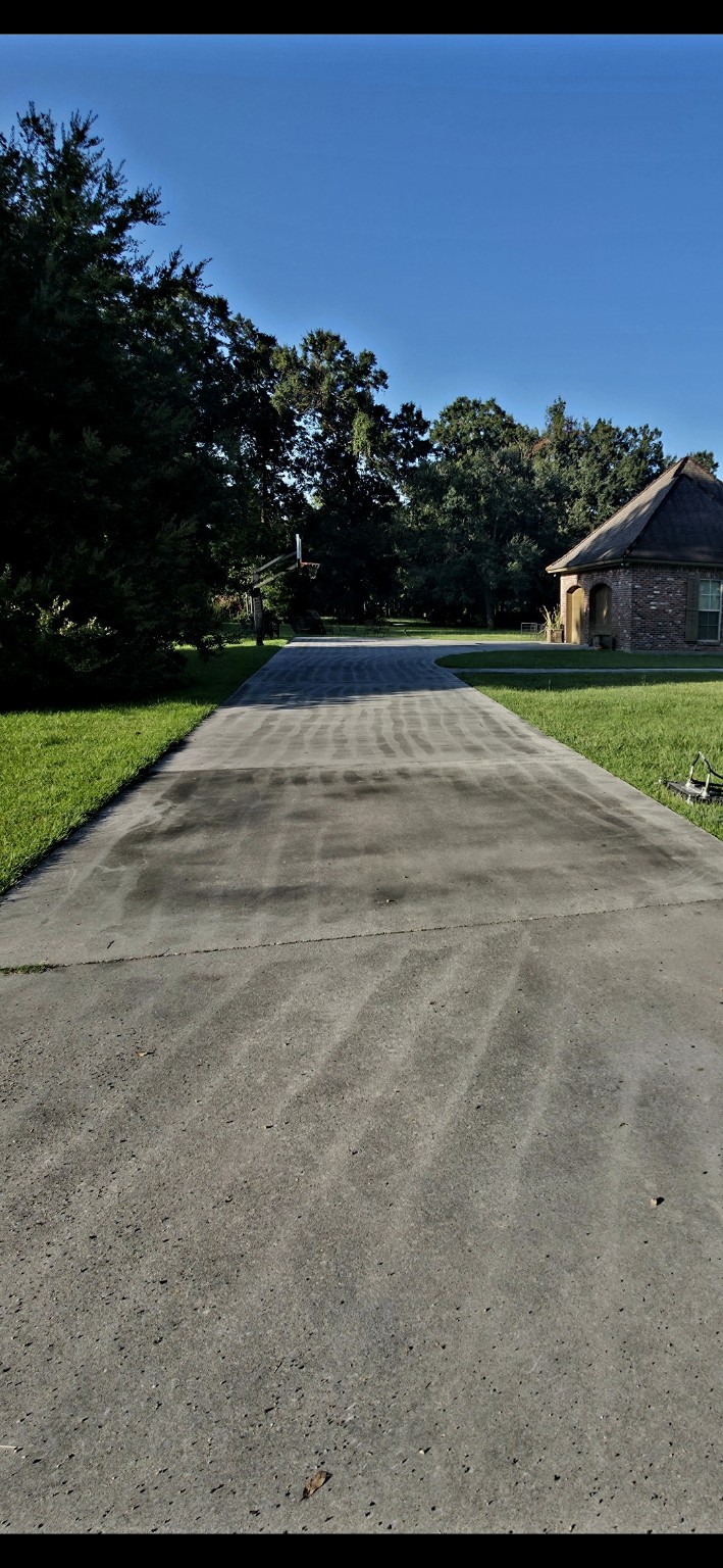 Driveway cleaning: before cleaning